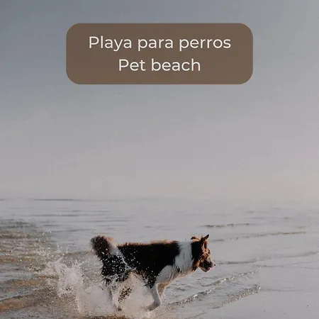 Surfer's View Pool Ac Wifi Deskterrace And Parking * 科拉雷侯