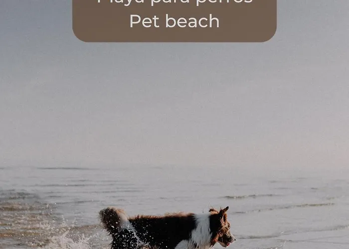 Surfer's View Pool Ac Wifi Deskterrace And Parking * Corralejo